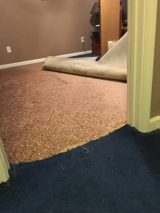 Carpet pad removal revealing water damage during Water Mitigation Services in Tifton